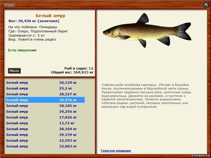 Русская рыбалка 3 озеро максимальный вес