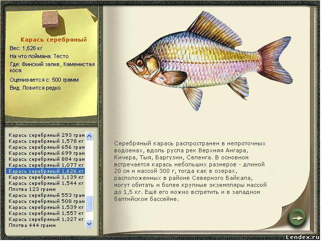 Русская рыбалка коды * Взлом Русской Рыбалки: читы, коды, трейнер.