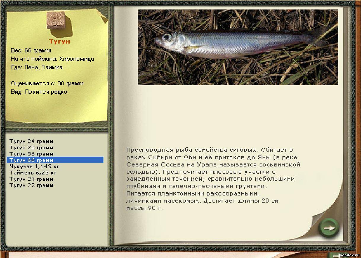 голый осман в русской рыбалке 3 фото 76